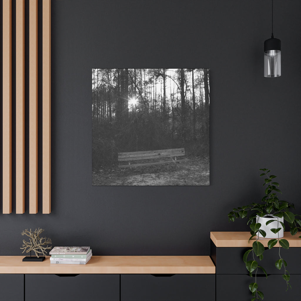Forest Bench Canvas