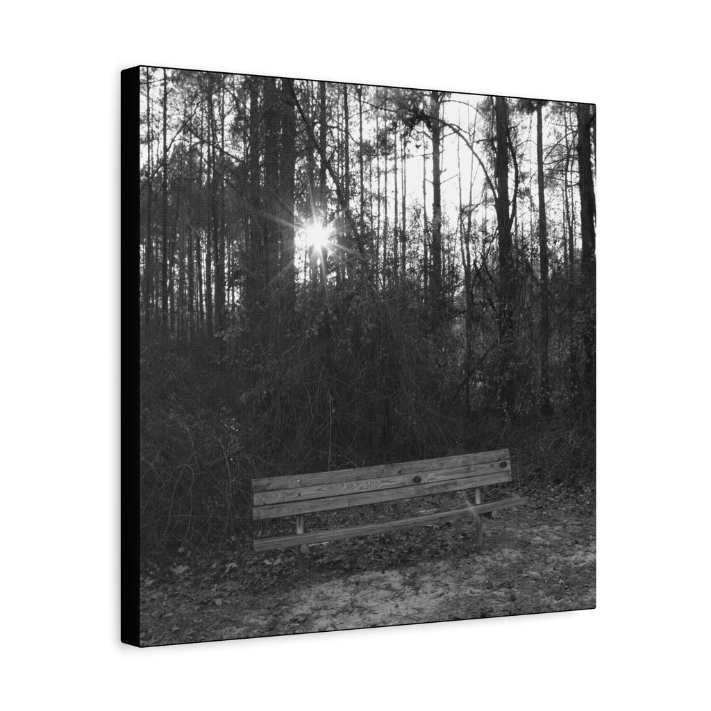Forest Bench Canvas