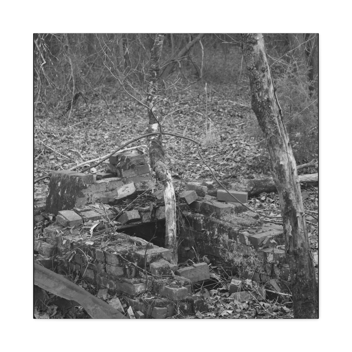 Forest Rubble Canvas