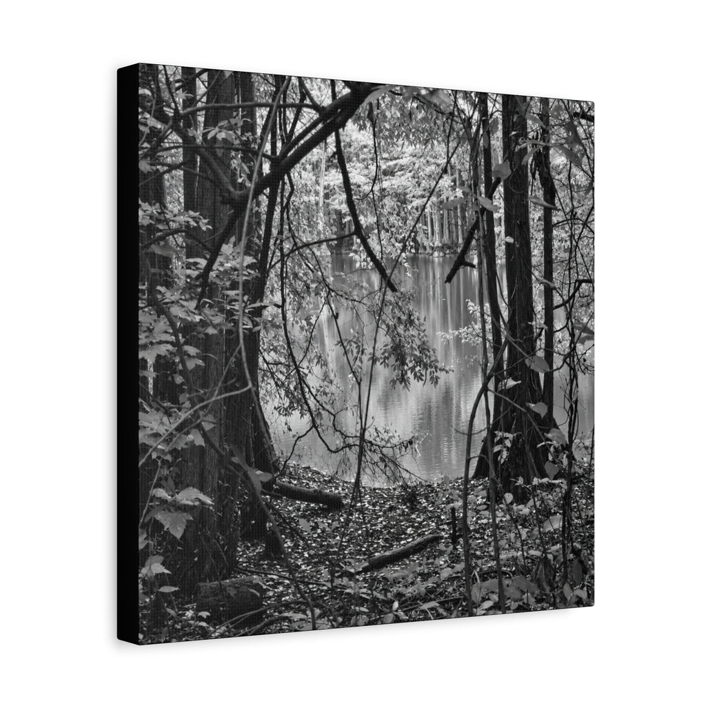 Marsh Edge 1 Canvas
