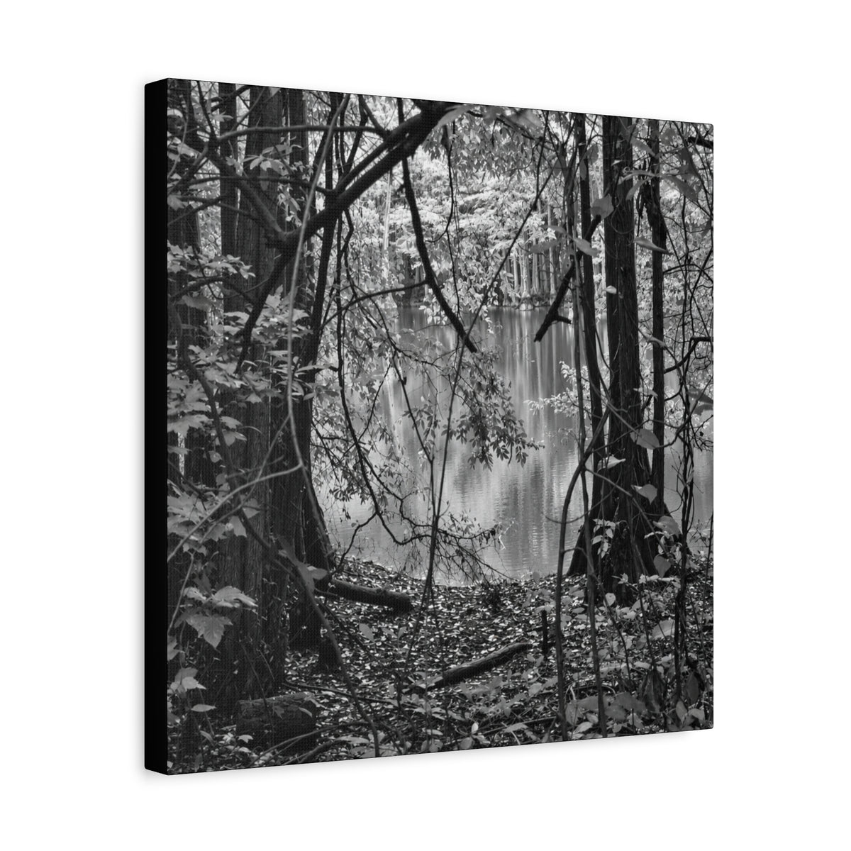 Marsh Edge 1 Canvas