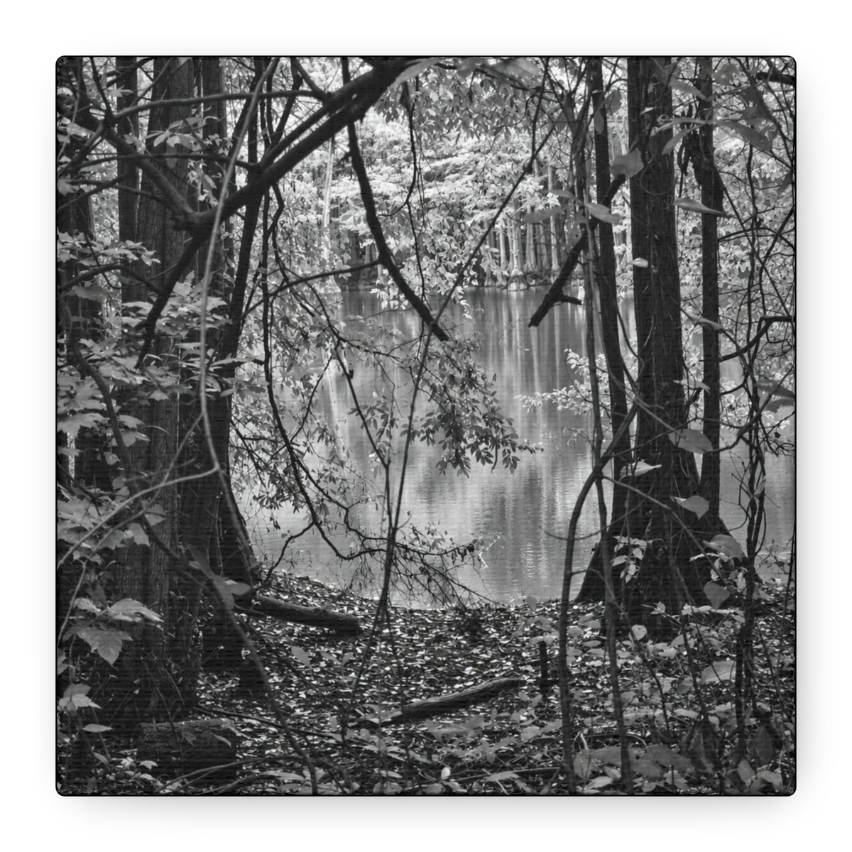Marsh Edge 1 Canvas