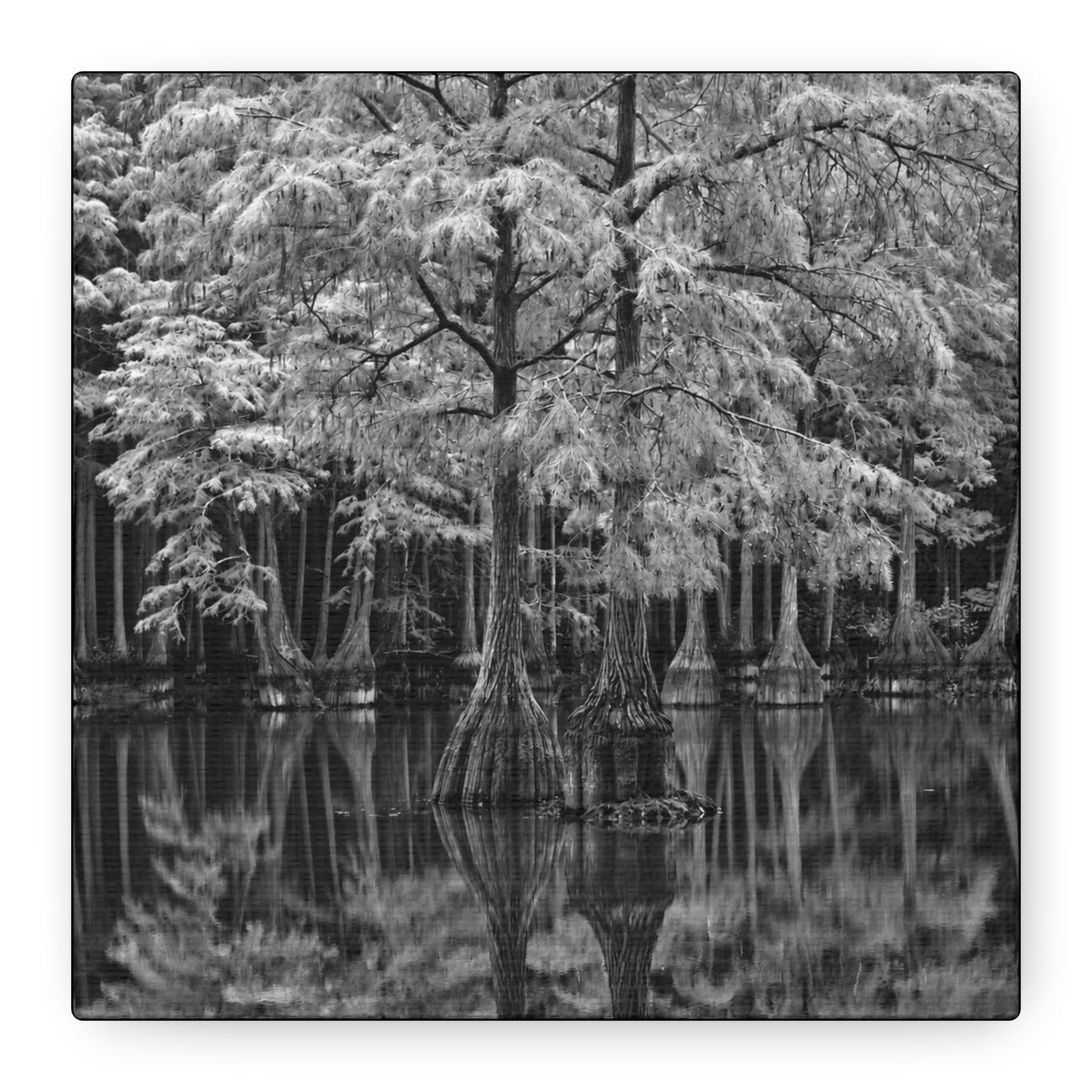 Marsh Close Up Canvas