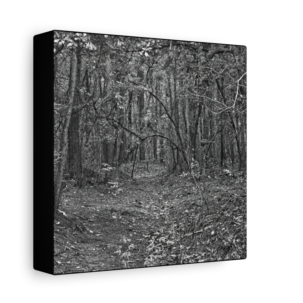 Forest Path Canvas