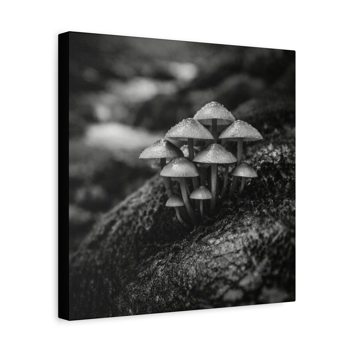 Mushrooms Canvas