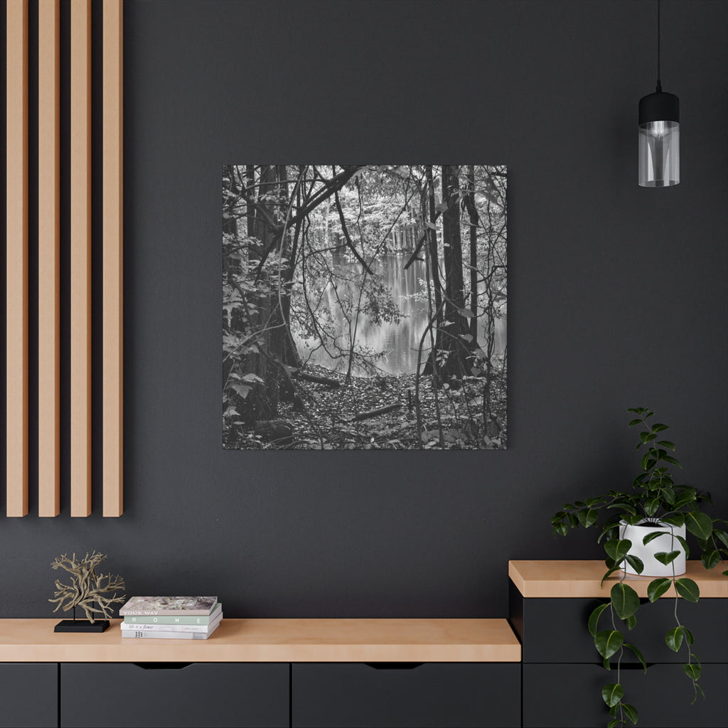 Marsh Edge 1 Canvas