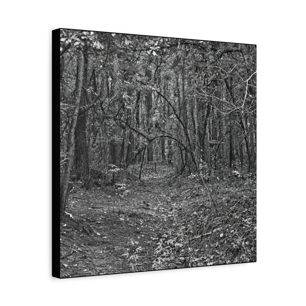 Forest Path Canvas