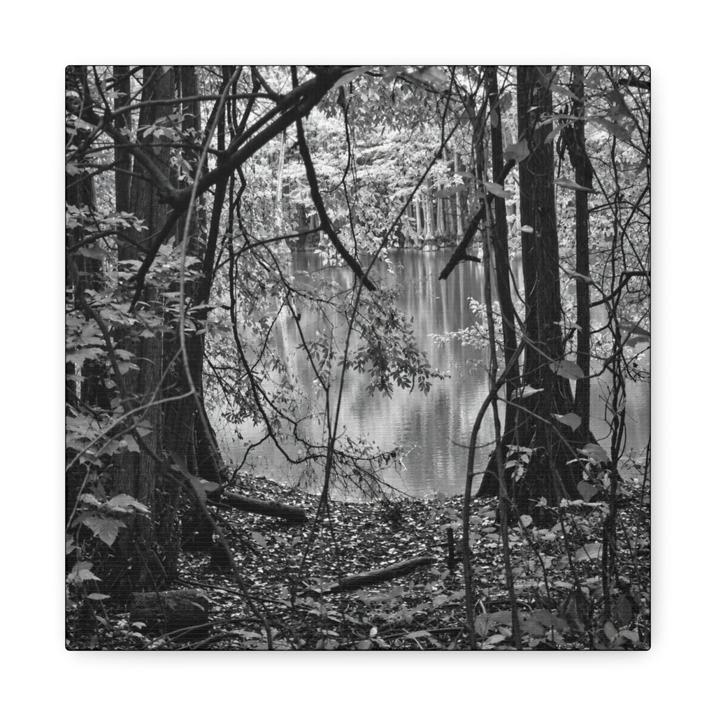 Marsh Edge 1 Canvas