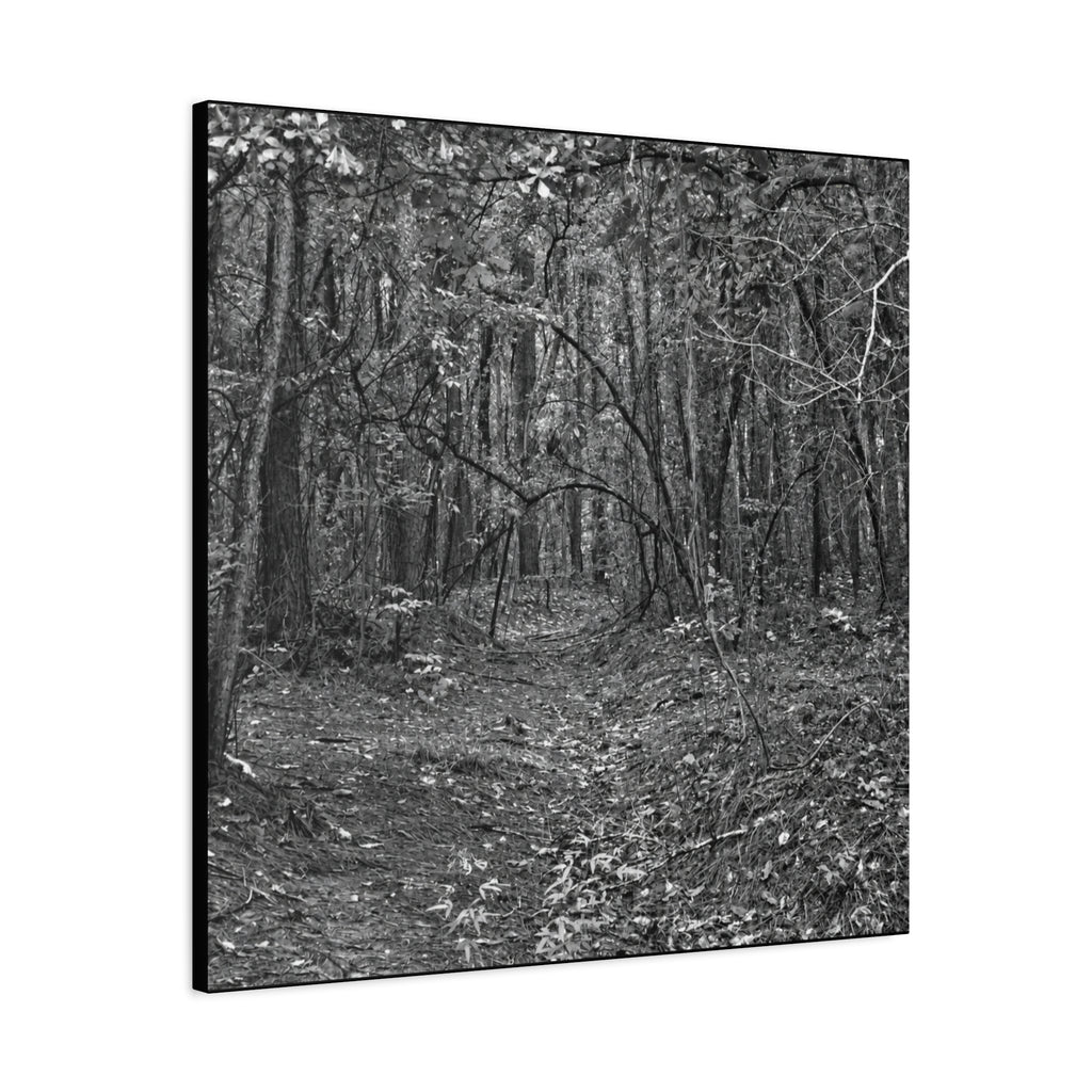 Forest Path Canvas