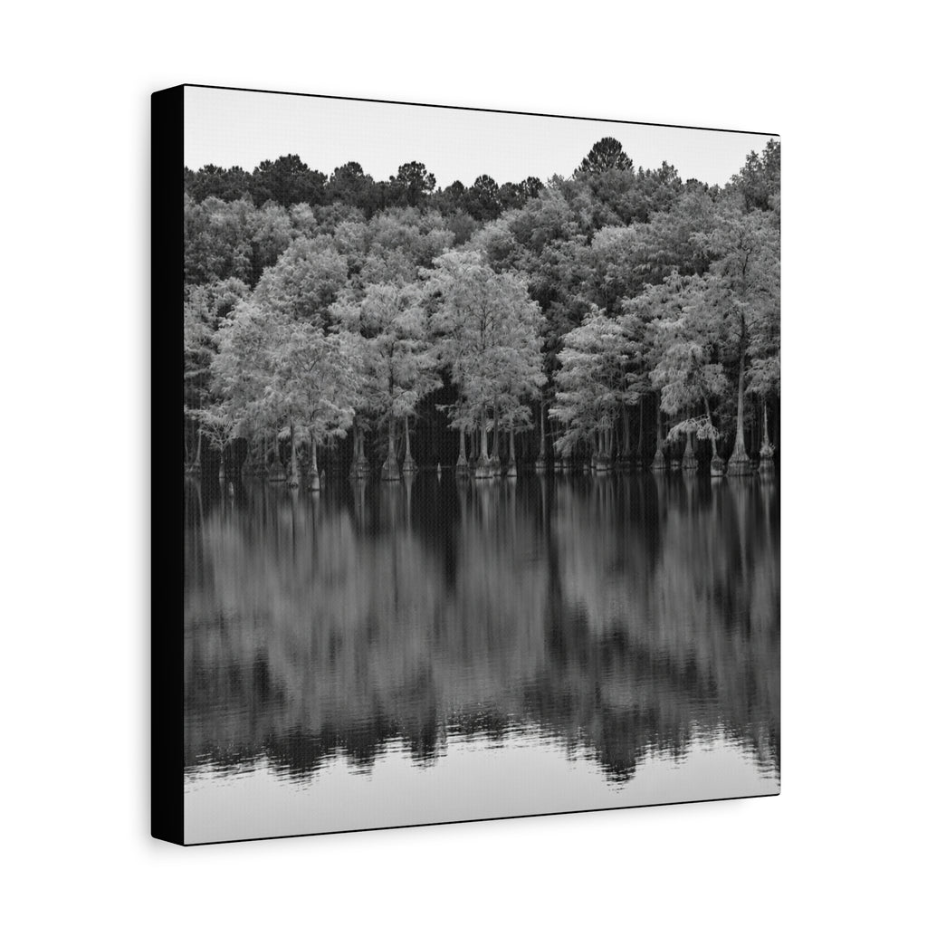 Marsh Reflection Canvas