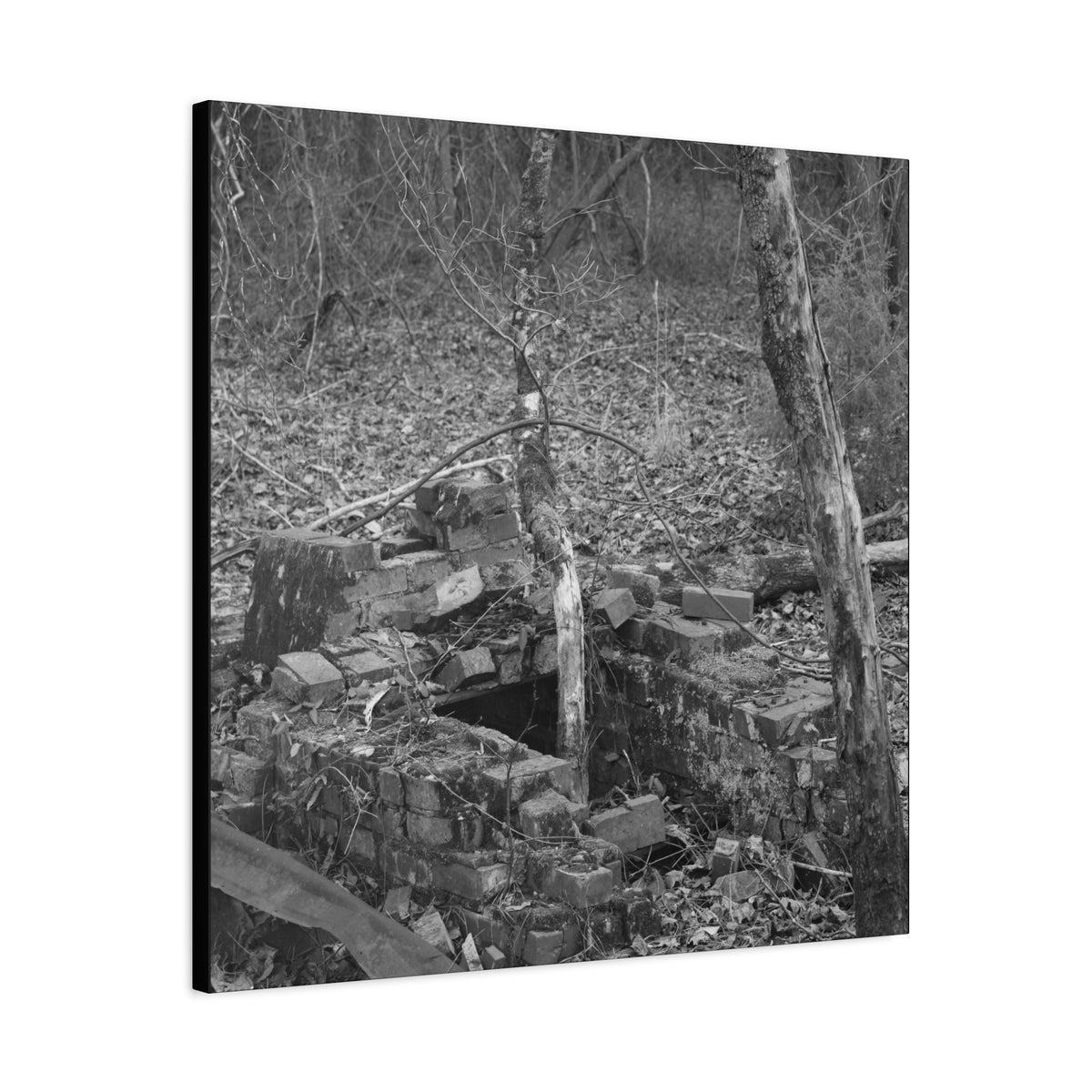 Forest Rubble Canvas