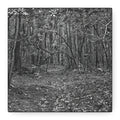 Forest Path Canvas