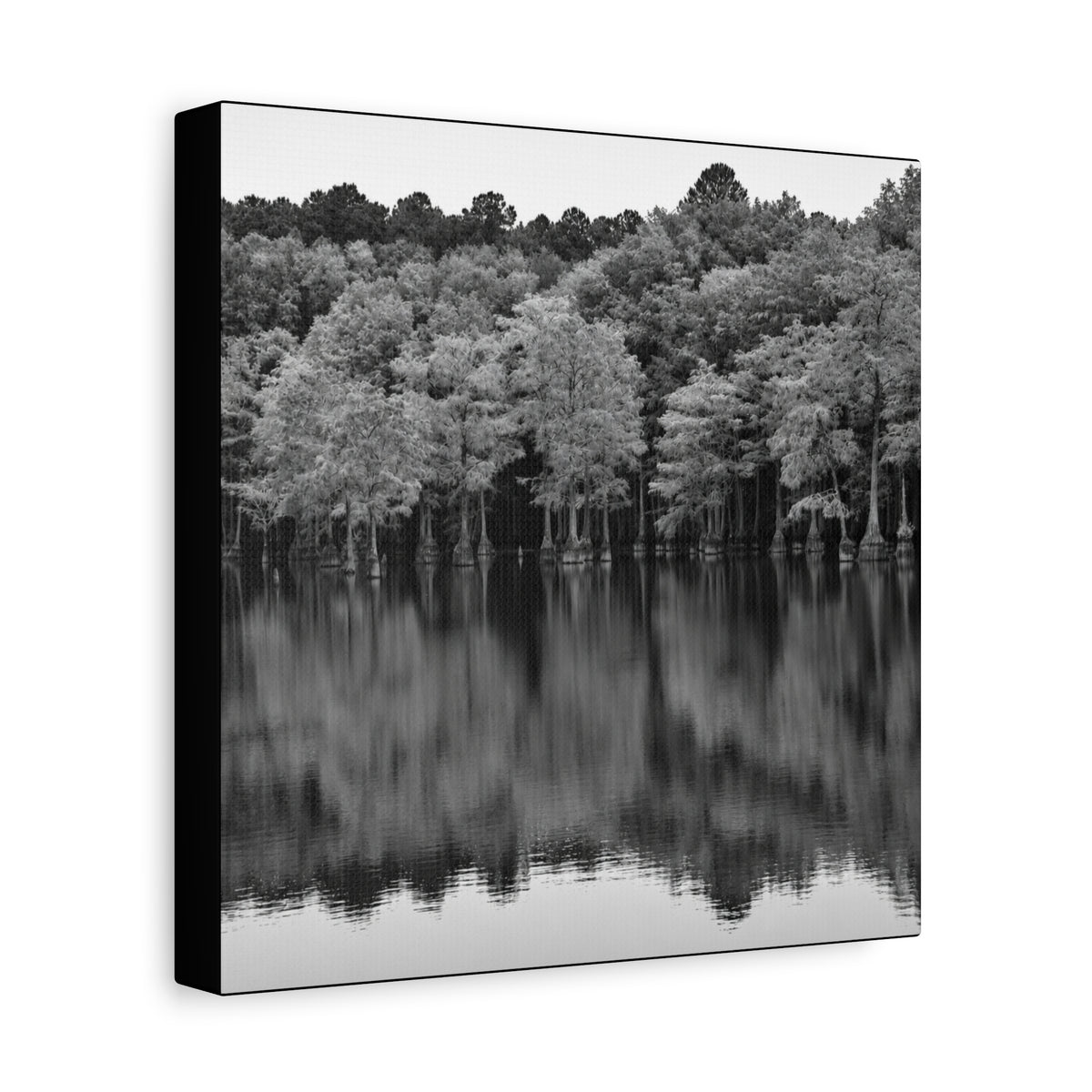 Marsh Reflection Canvas