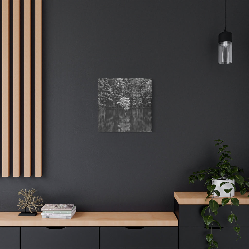 Marsh Solitary Tree Canvas
