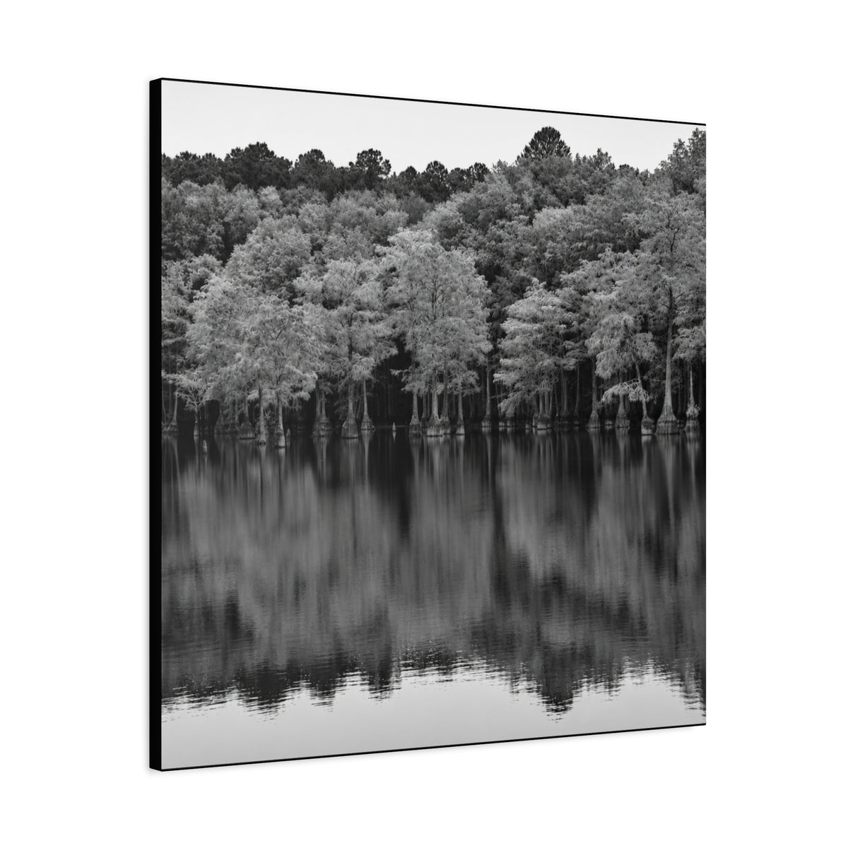 Marsh Reflection Canvas