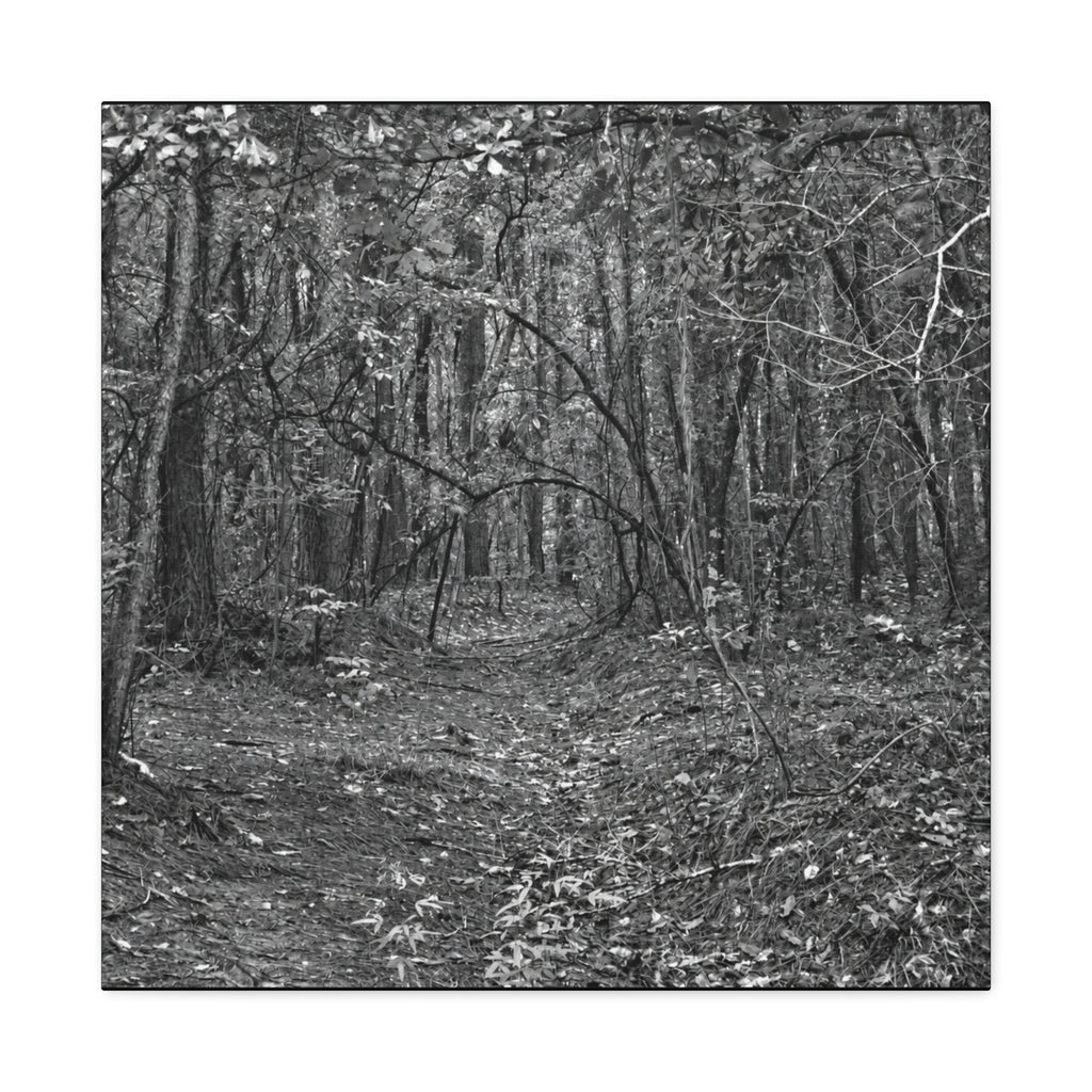 Forest Path Canvas