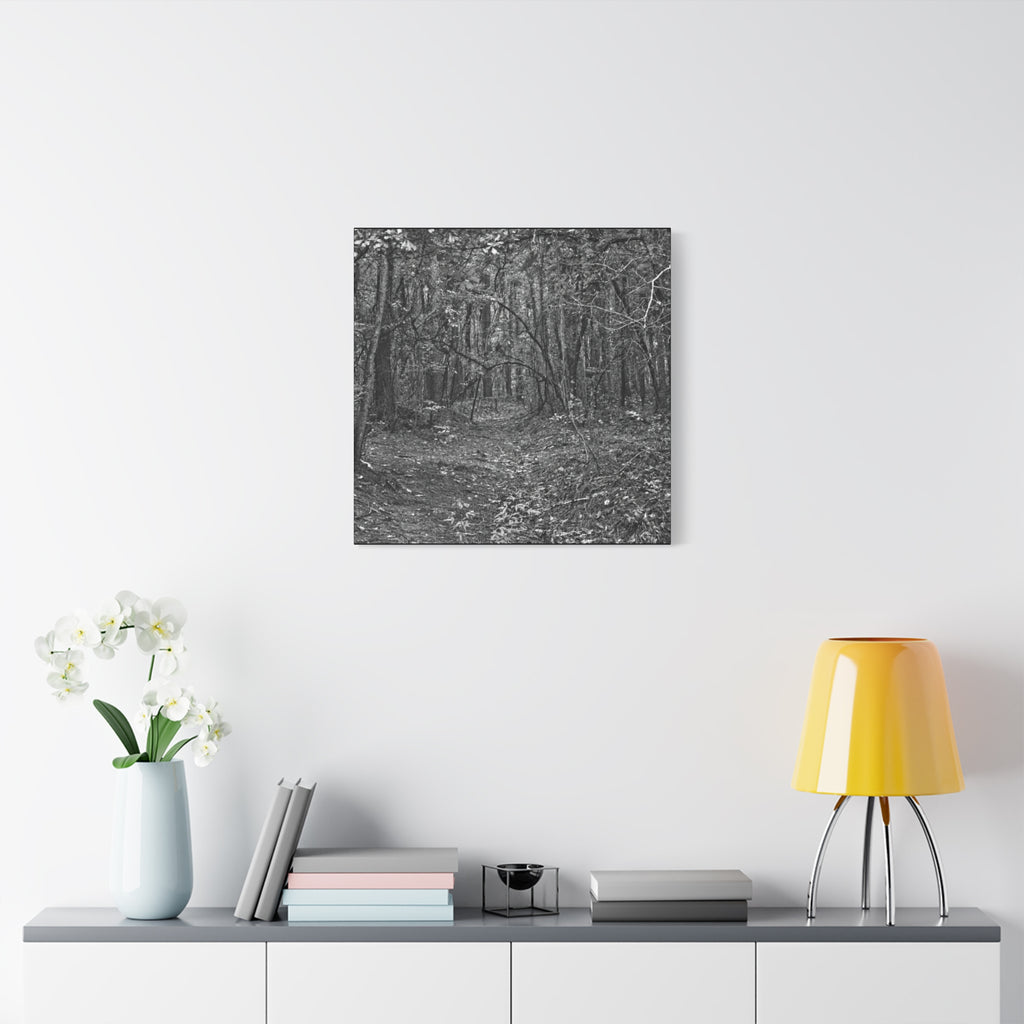 Forest Path Canvas