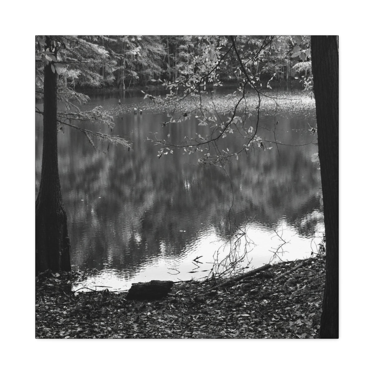 Marsh Edge 2 Canvas
