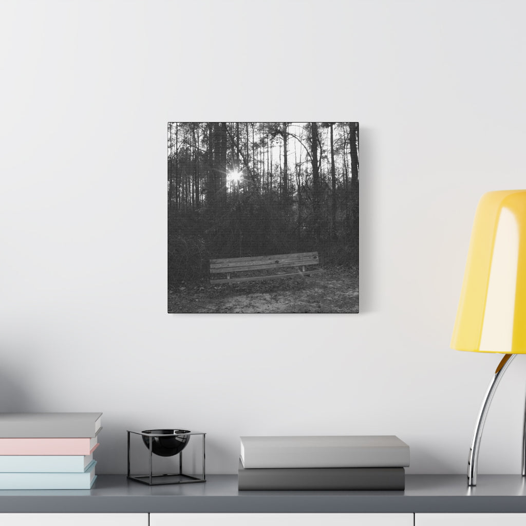 Forest Bench Canvas