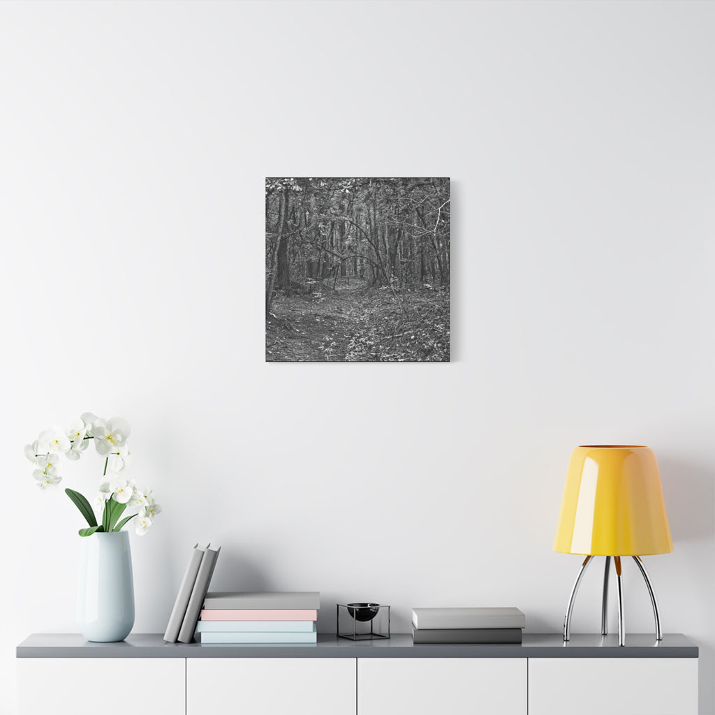 Forest Path Canvas