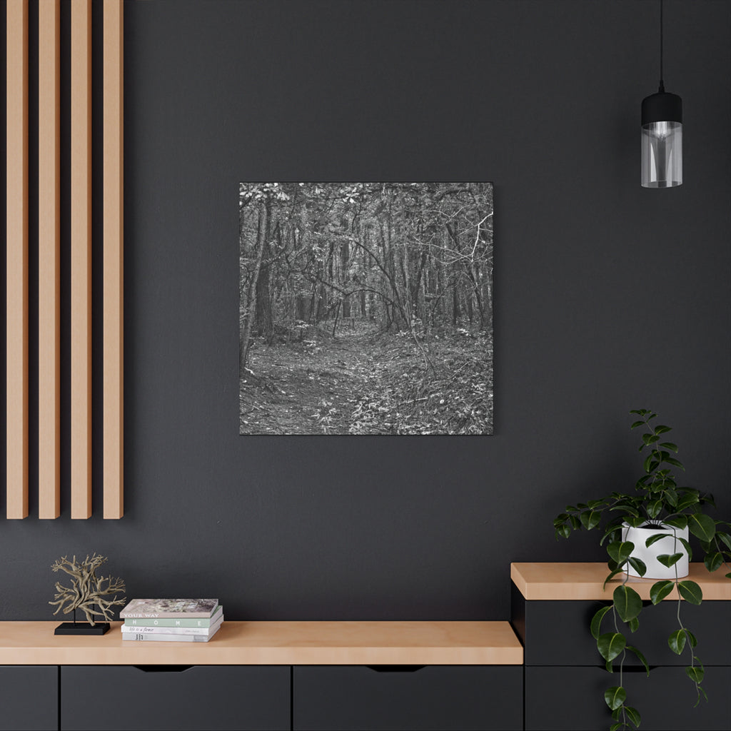 Forest Path Canvas