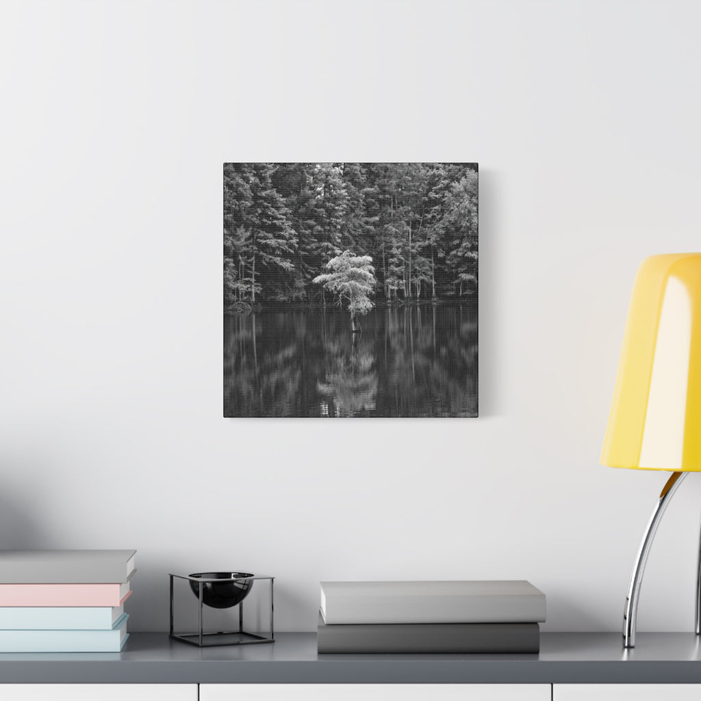 Marsh Solitary Tree Canvas