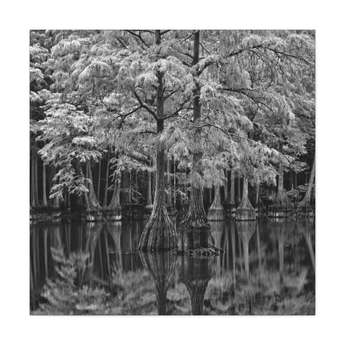 Marsh Close Up Canvas