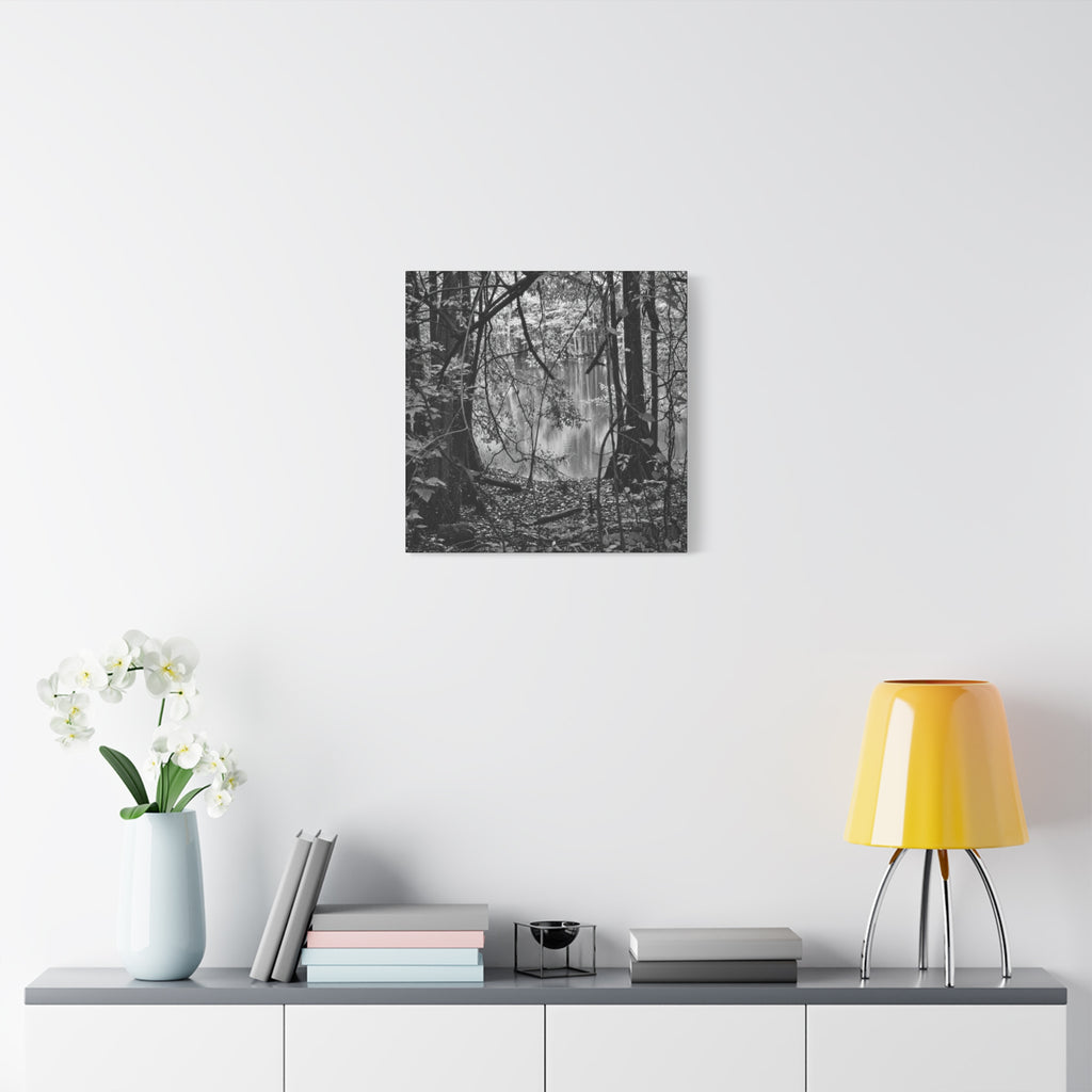Marsh Edge 1 Canvas