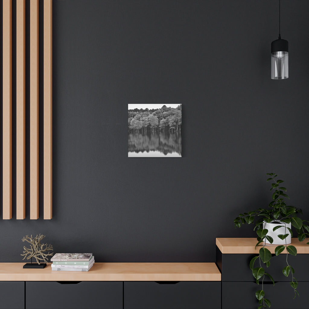 Marsh Reflection Canvas