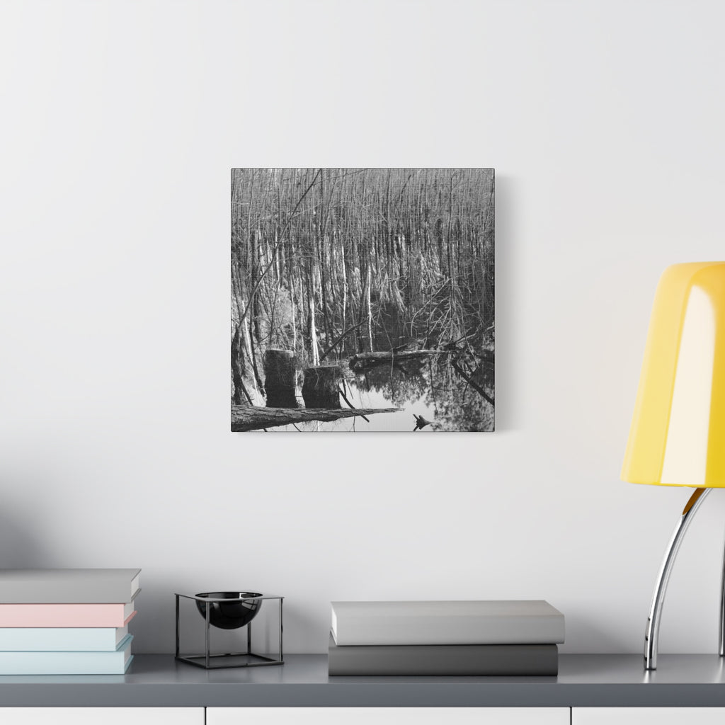 Marsh Stumps Canvas