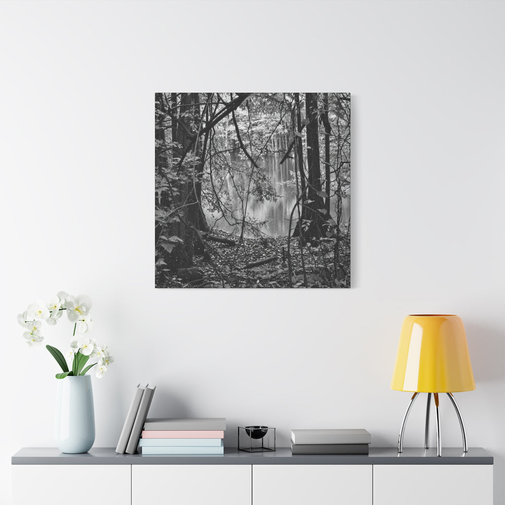 Marsh Edge 1 Canvas