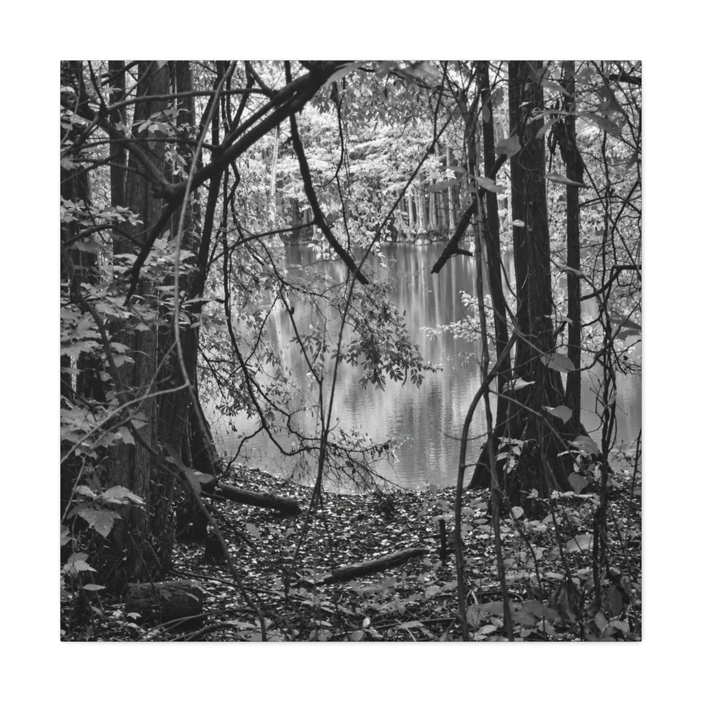 Marsh Edge 1 Canvas