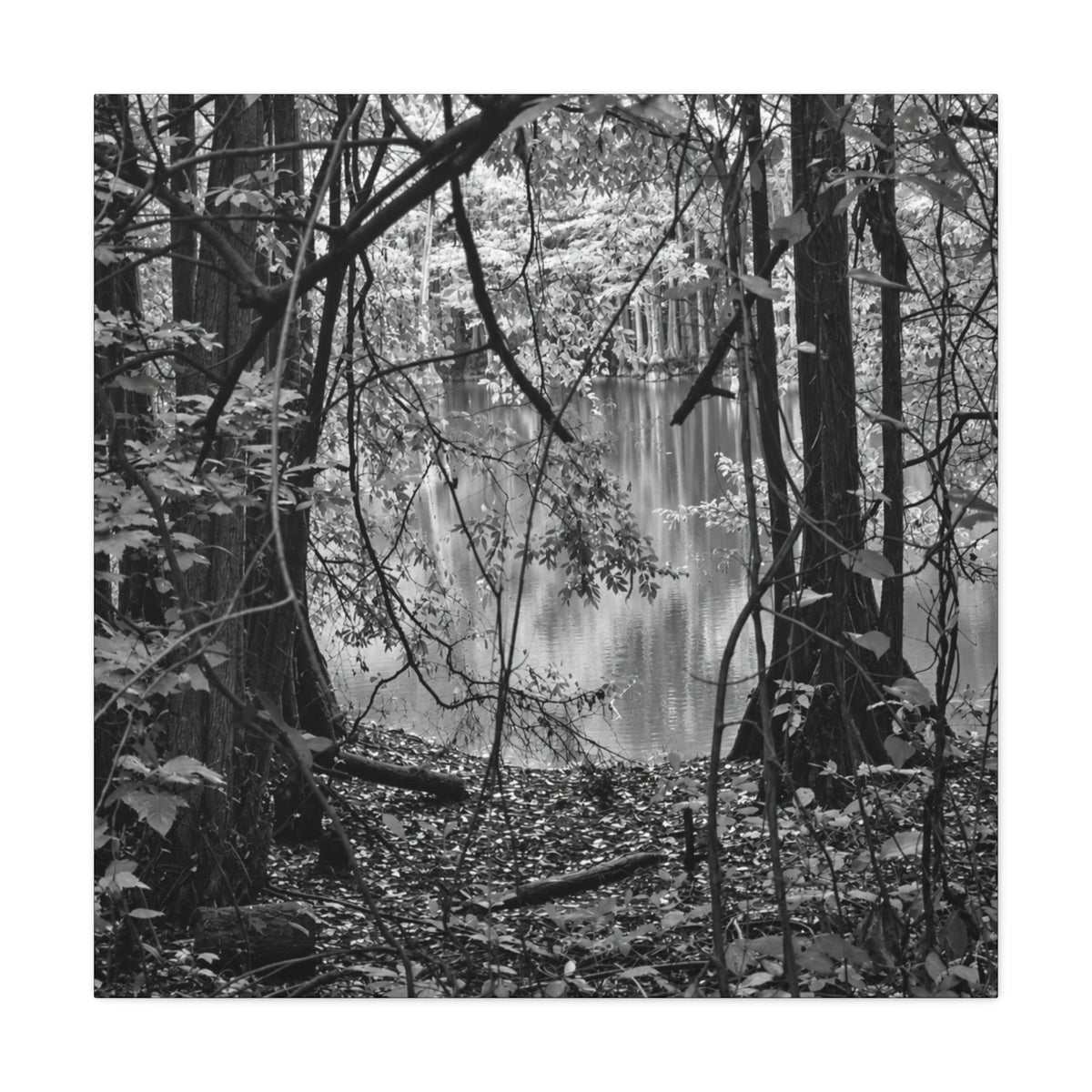 Marsh Edge 1 Canvas