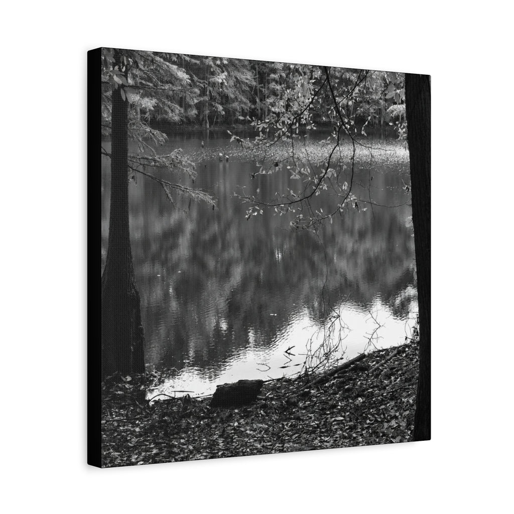 Marsh Edge 2 Canvas