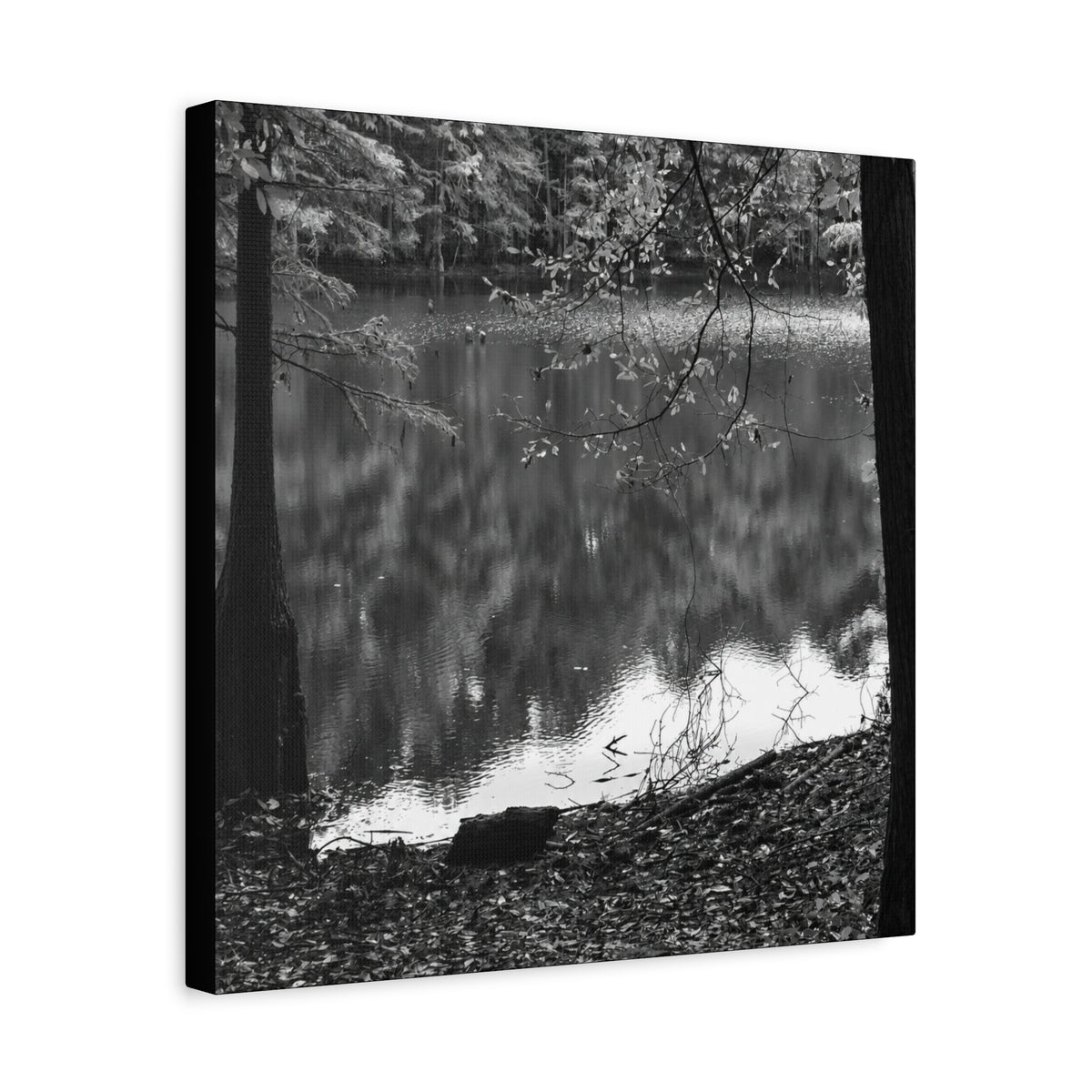 Marsh Edge 2 Canvas