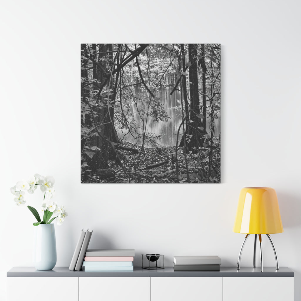Marsh Edge 1 Canvas