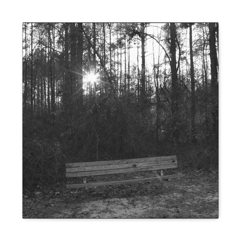 Forest Bench Canvas