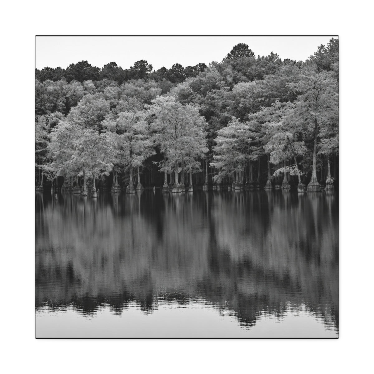 Marsh Reflection Canvas