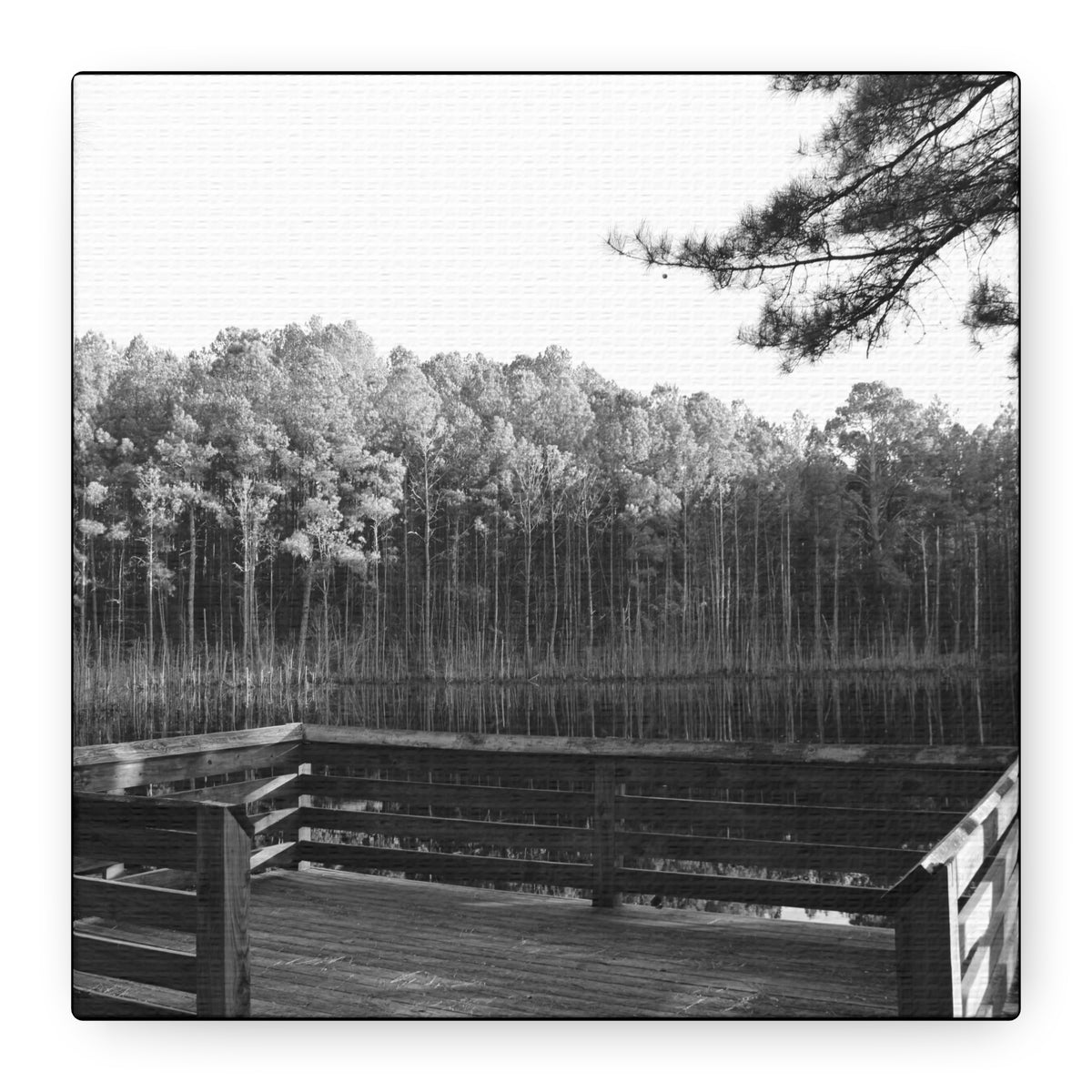 River Dock Canvas