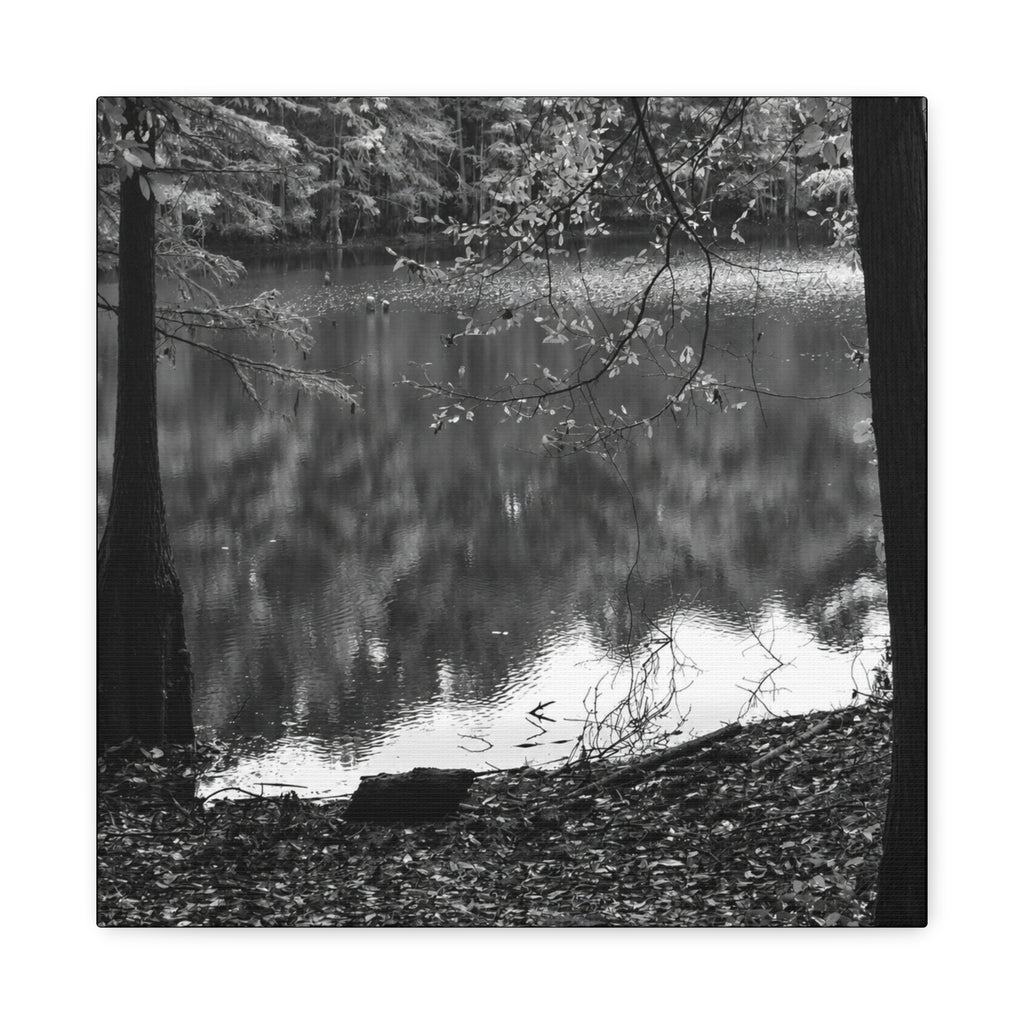 Marsh Edge 2 Canvas