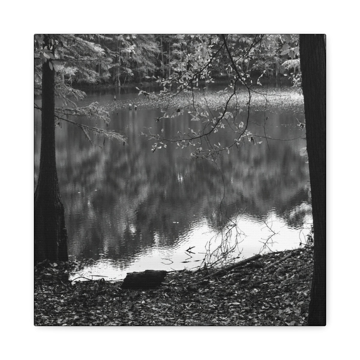 Marsh Edge 2 Canvas