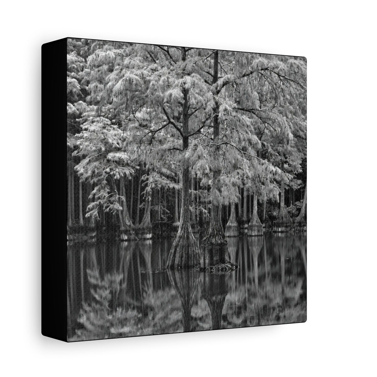 Marsh Close Up Canvas