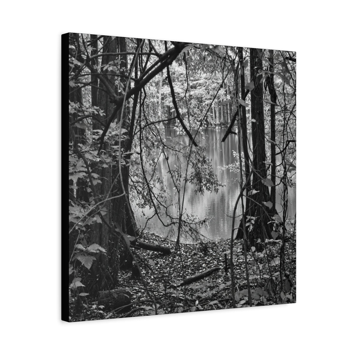 Marsh Edge 1 Canvas