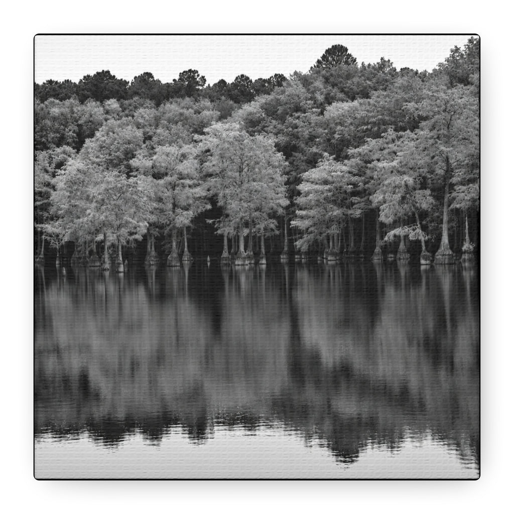 Marsh Reflection Canvas