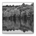 Marsh Reflection Canvas