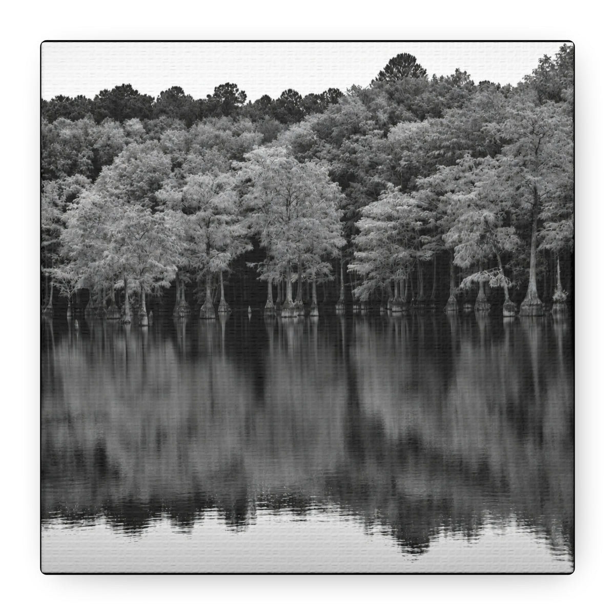 Marsh Reflection Canvas
