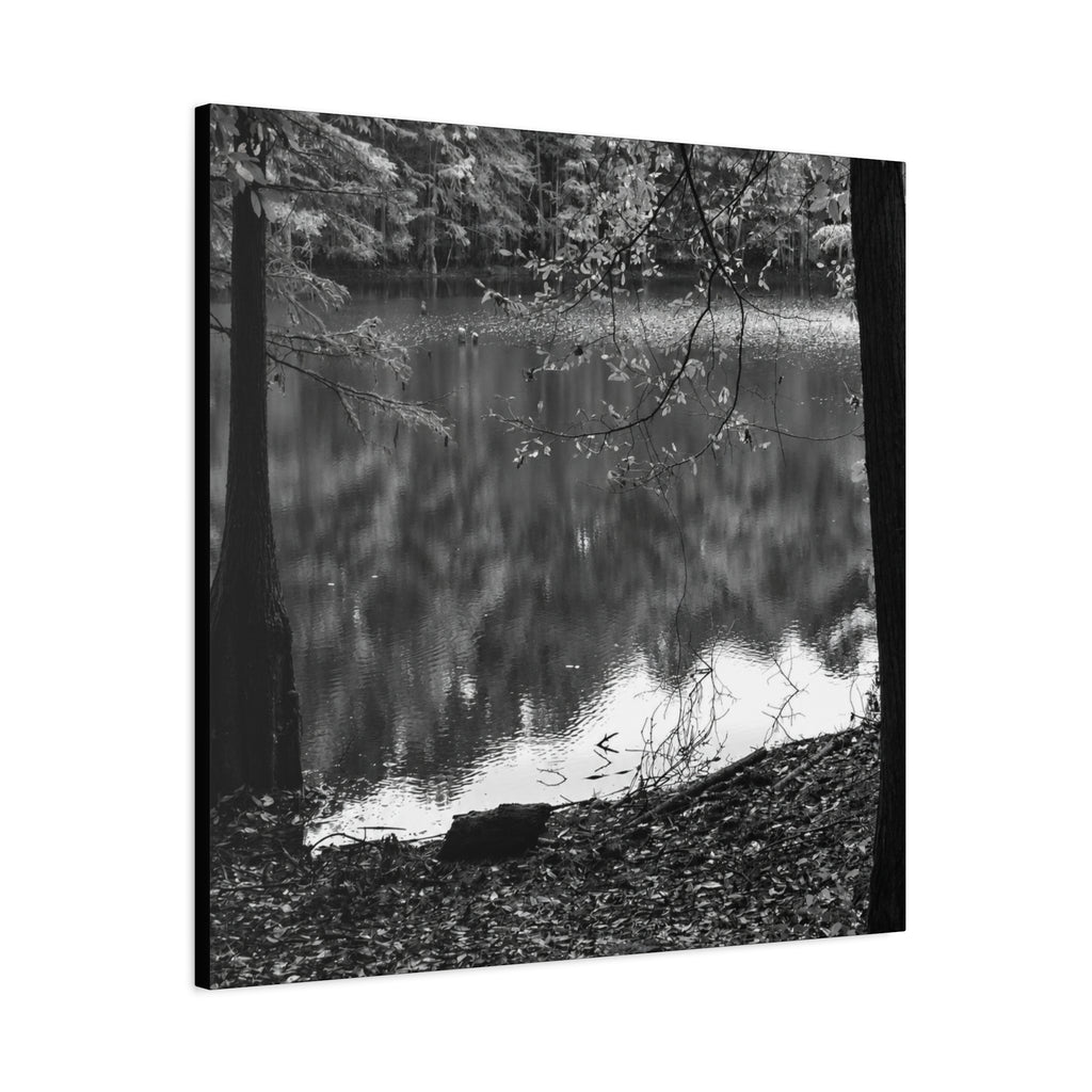 Marsh Edge 2 Canvas
