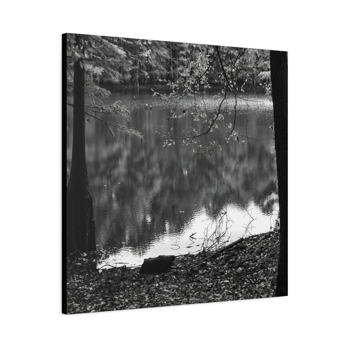 Marsh Edge 2 Canvas