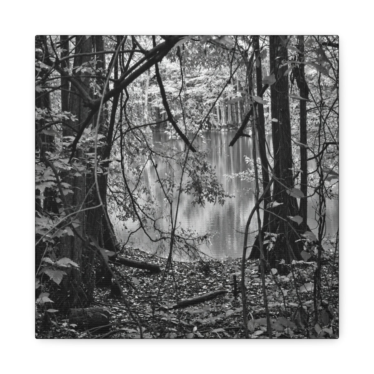 Marsh Edge 1 Canvas