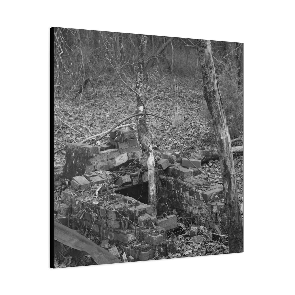 Forest Rubble Canvas